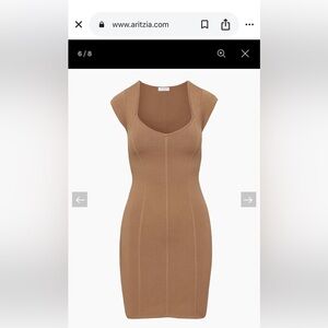 Aritzia Brown Bodycon Mini Dress with Cap Sleeves